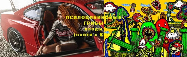 шишки Богданович