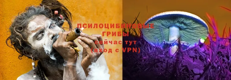 Псилоцибиновые грибы MAGIC MUSHROOMS  магазин  наркотиков  нарко площадка Telegram  Еманжелинск 